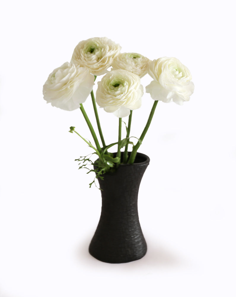 Cloni® Success® Bia