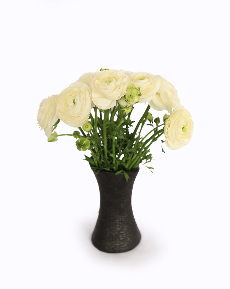 Elegance® Bianco