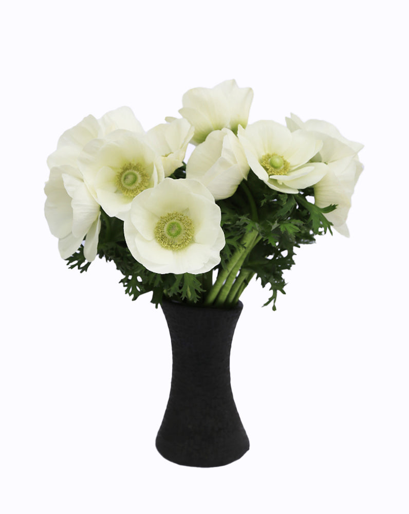 Mistral Plus® Bianco