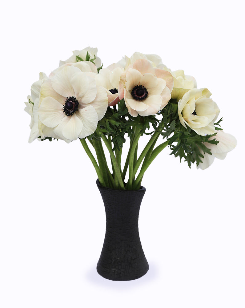 Mistral Plus® Panda Bianco