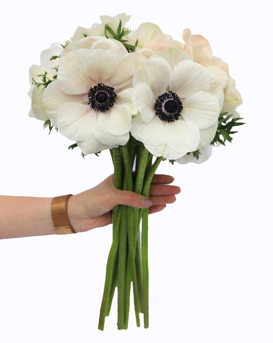 Mistral Plus® Panda Bianco