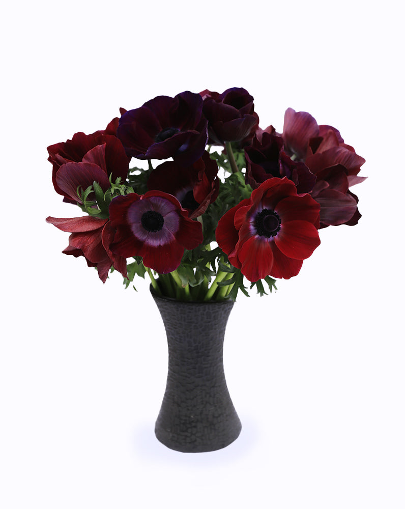 Mistral® Bordeaux