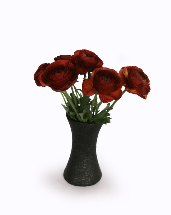 Elegance® Cioccolato