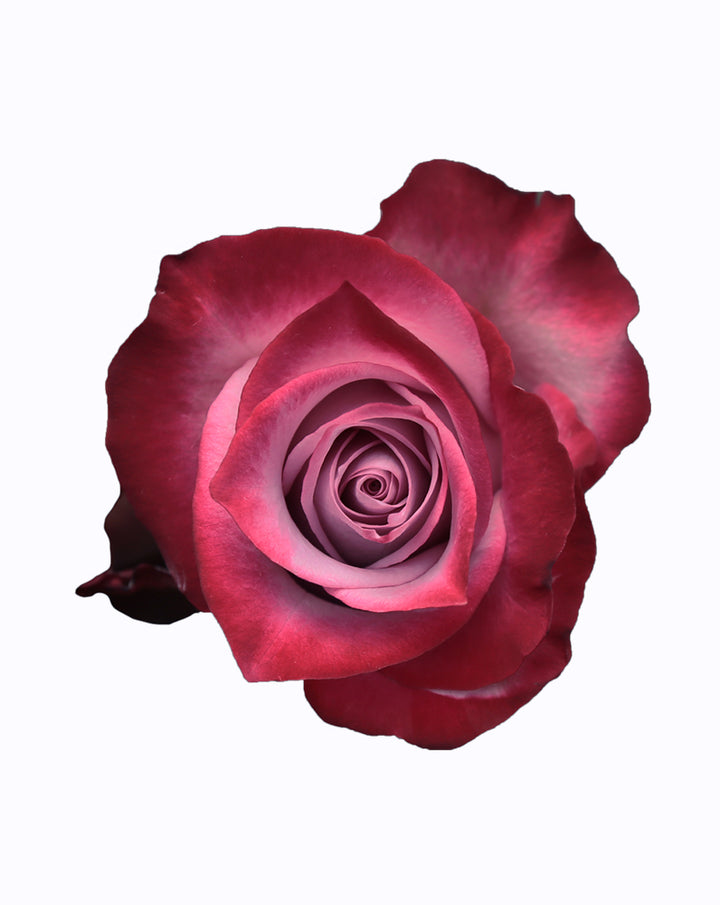 Deep Purple