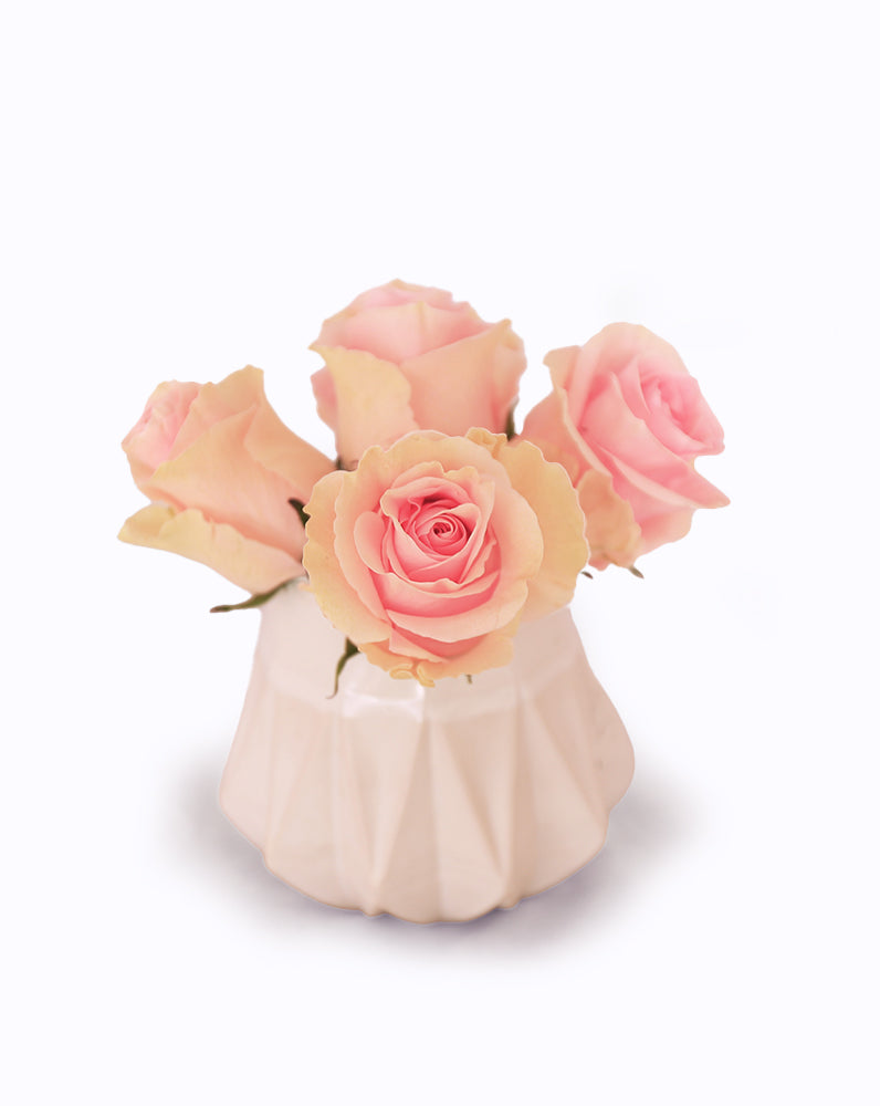 Duchesse