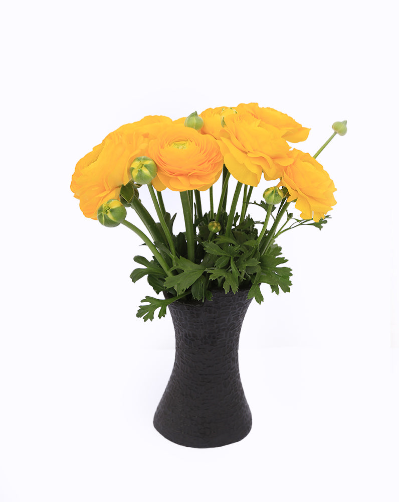 Elegance® Giallo