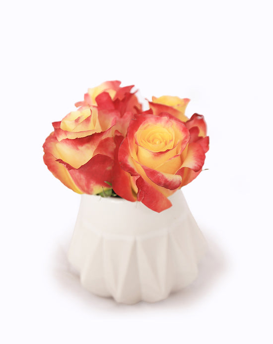 Hot Merengue