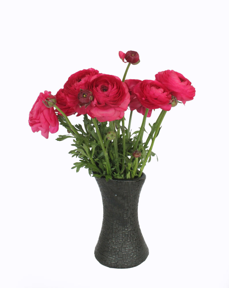 Elegance® Hot Pink