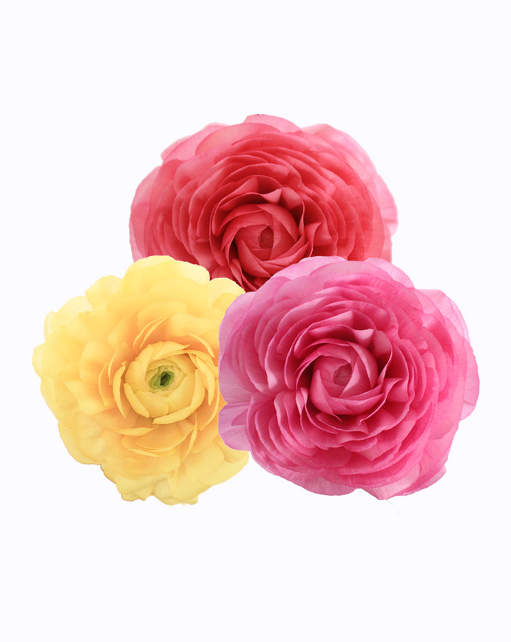 Elegance® Pastello