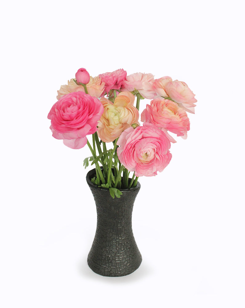 Elegance® Pastello