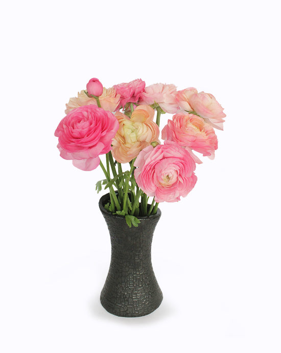 Elegance® Pastello