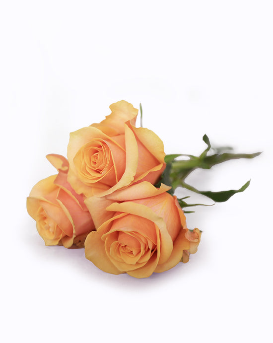 Peach Love