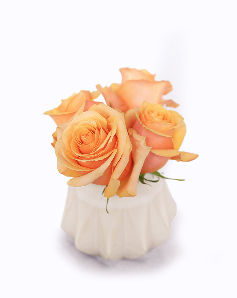 Peach Love