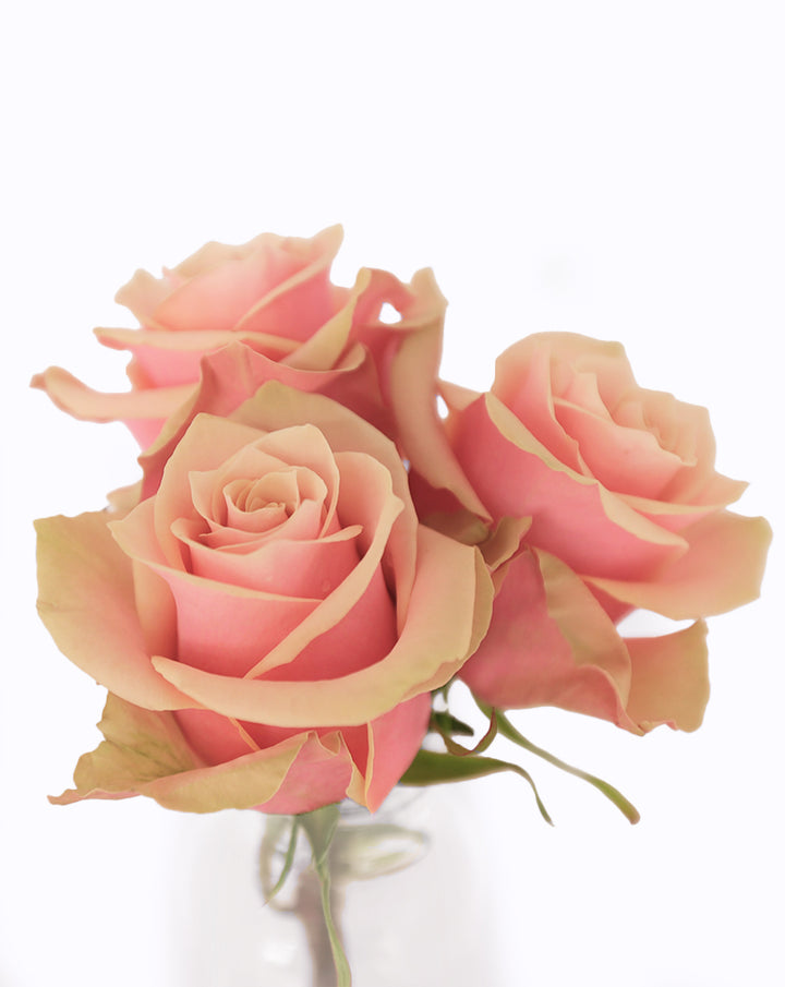 Pink Amaretto