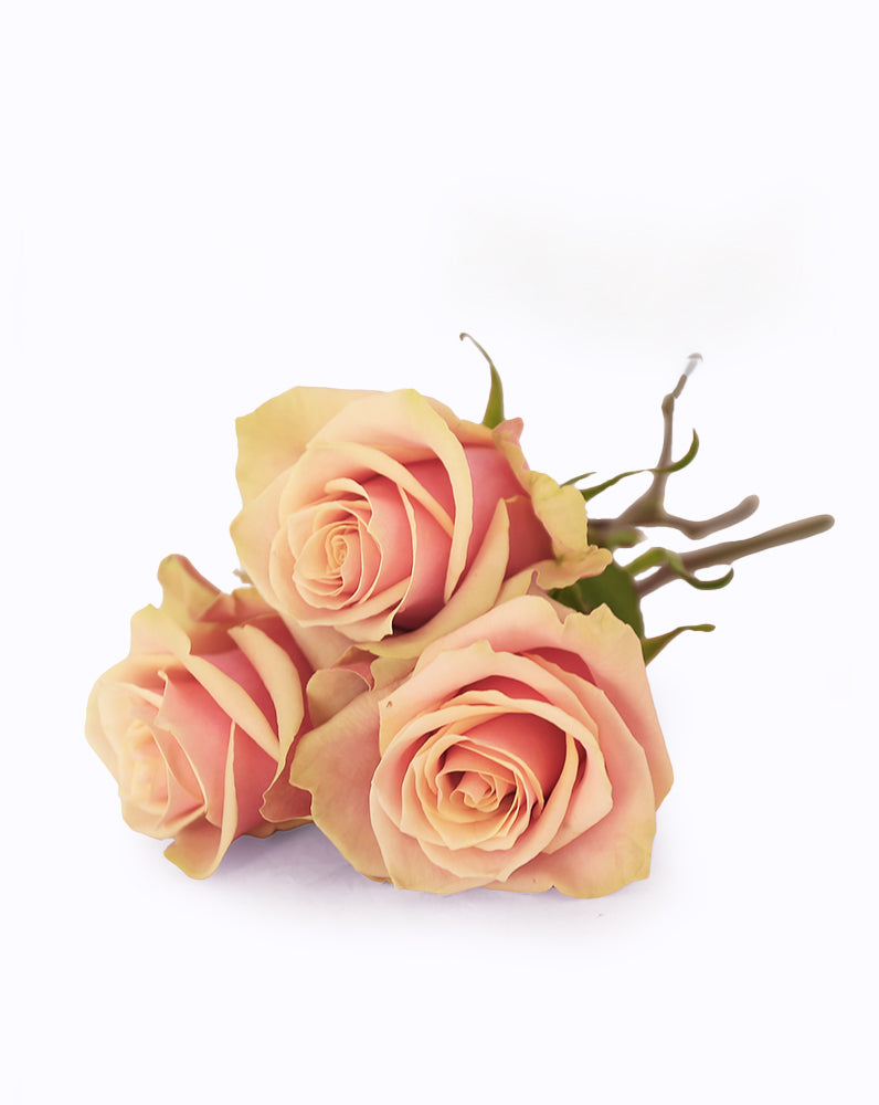 Pink Amaretto