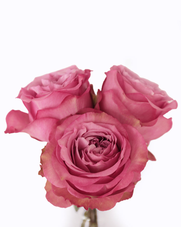 Queen's Crown