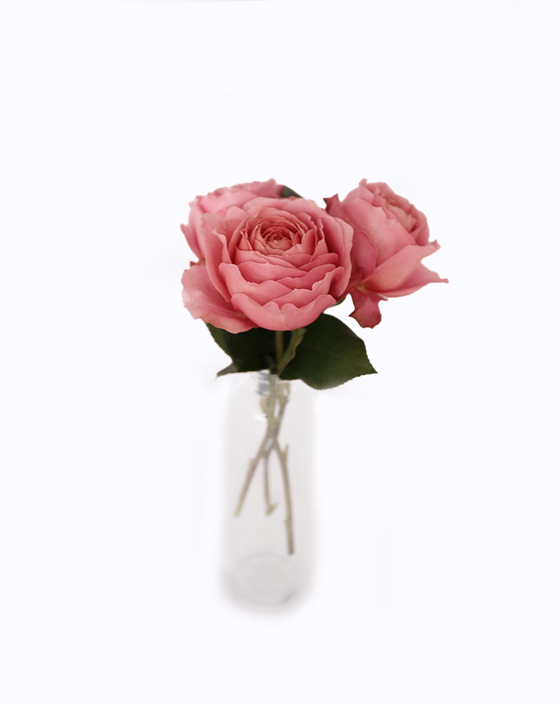 Romantic Antike