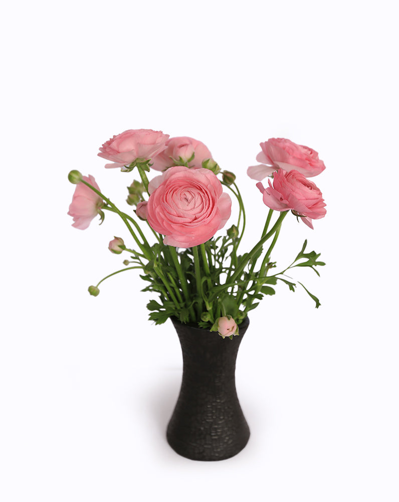 Elegance® Rosa