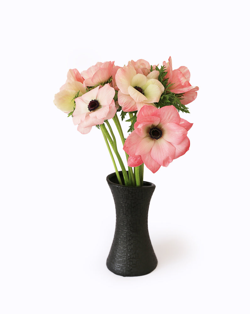 Mistral® Rosa Chiaro
