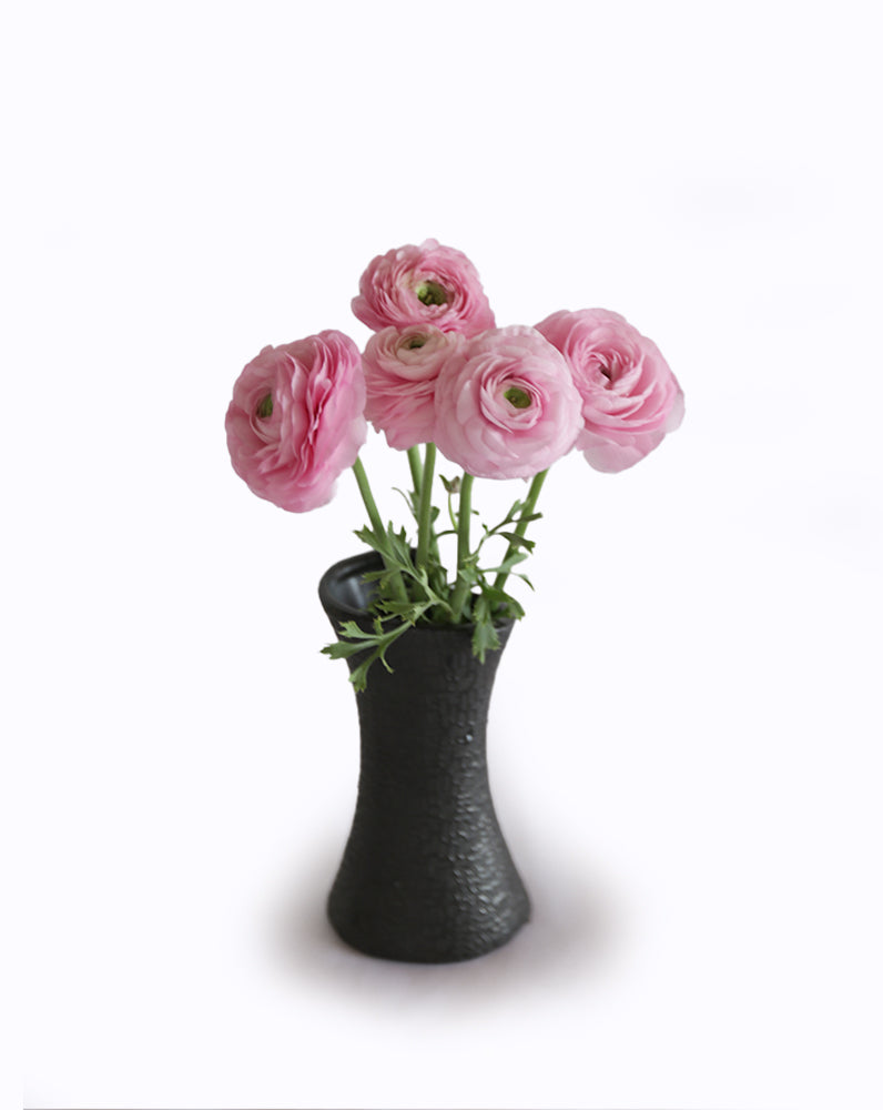 Elegance® Rosa Chiaro