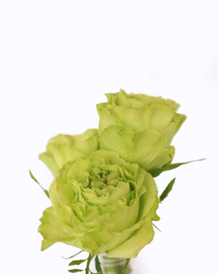 Super Green