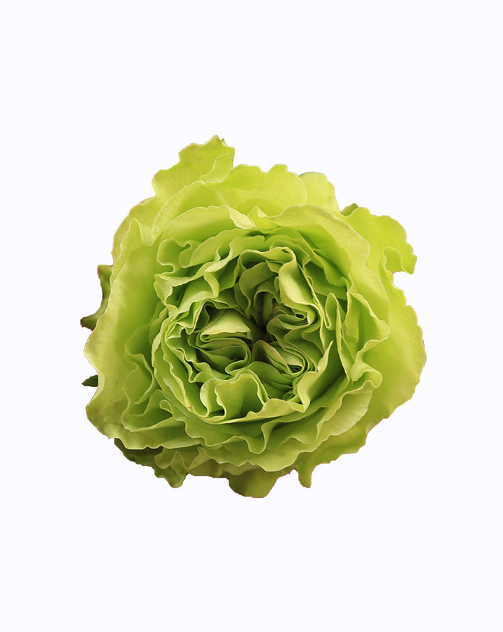 Super Green