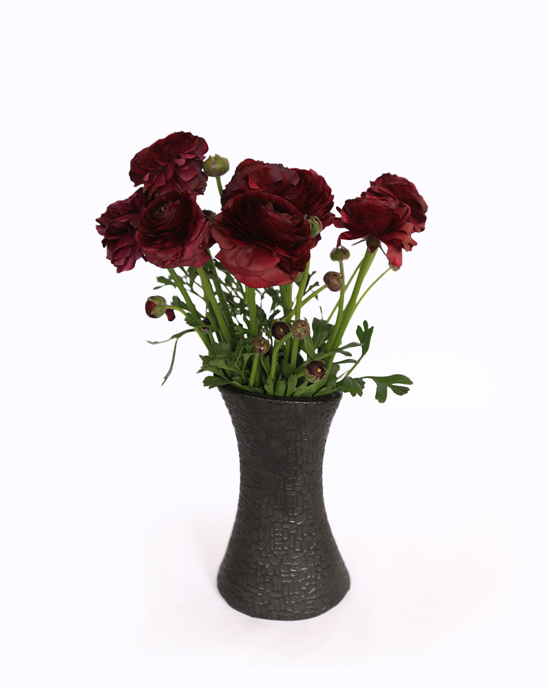 Elegance® Viola